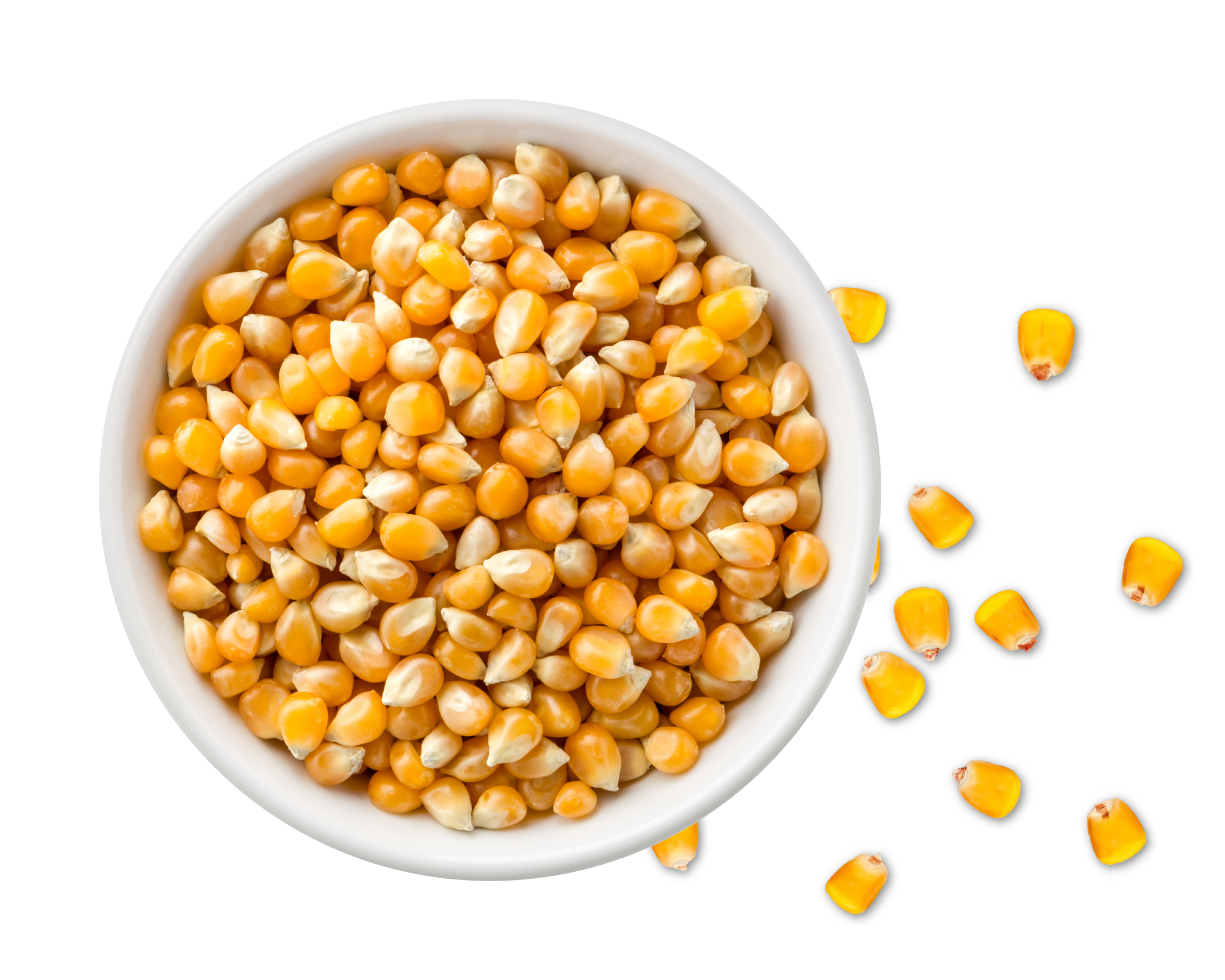 Freshly Harvested Corn from LifeLine Foods 🌽🥣 A bowl of fresh corn, representing LifeLine Foods' commitment to high-quality, sustainably grown produce.