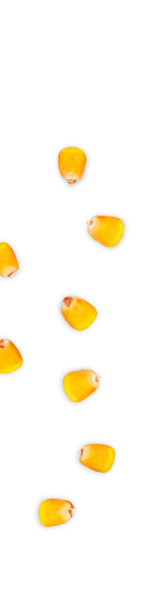 kernels-left-03 kernels-left-03