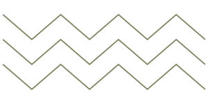 zig zag2